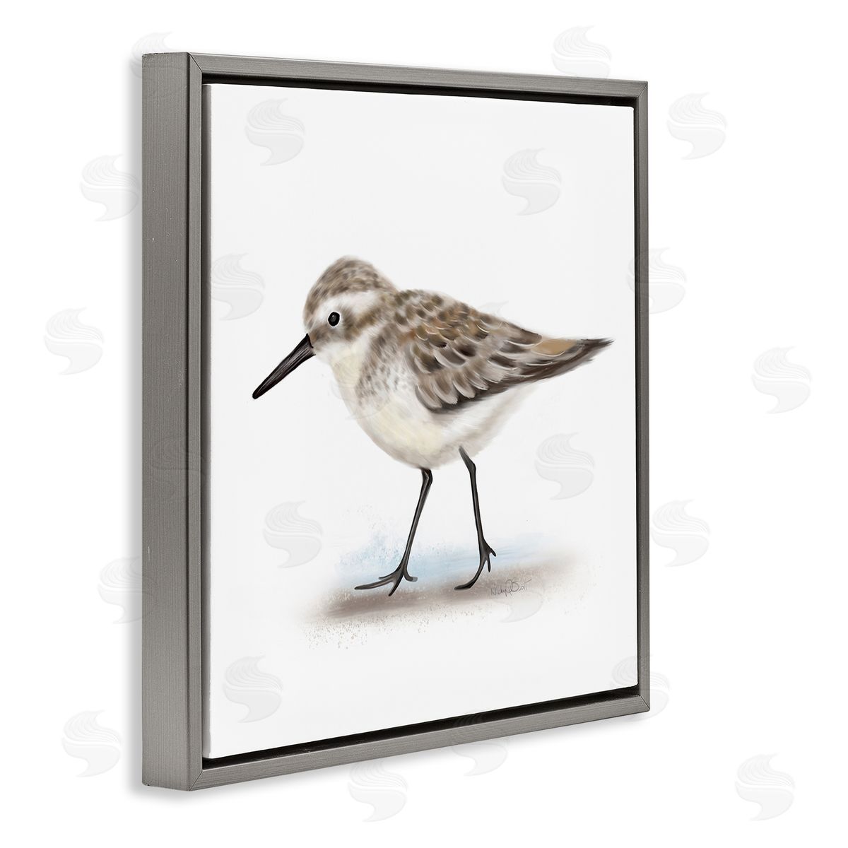Studio Q Nautical Sandpiper Bird on Sand Speckled Feathers Gray Floating Frame Canvas Wall Art Print