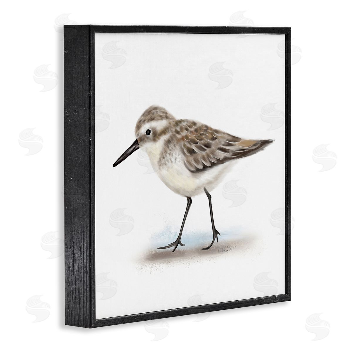 Studio Q Nautical Sandpiper Bird on Sand Speckled Feathers Black Framed Glicee Wall Art Print