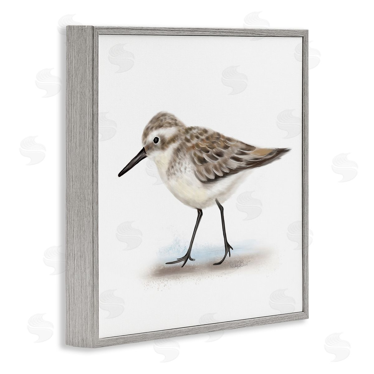 Studio Q Nautical Sandpiper Bird on Sand Speckled Feathers Gray Framed Glicee Wall Art Print