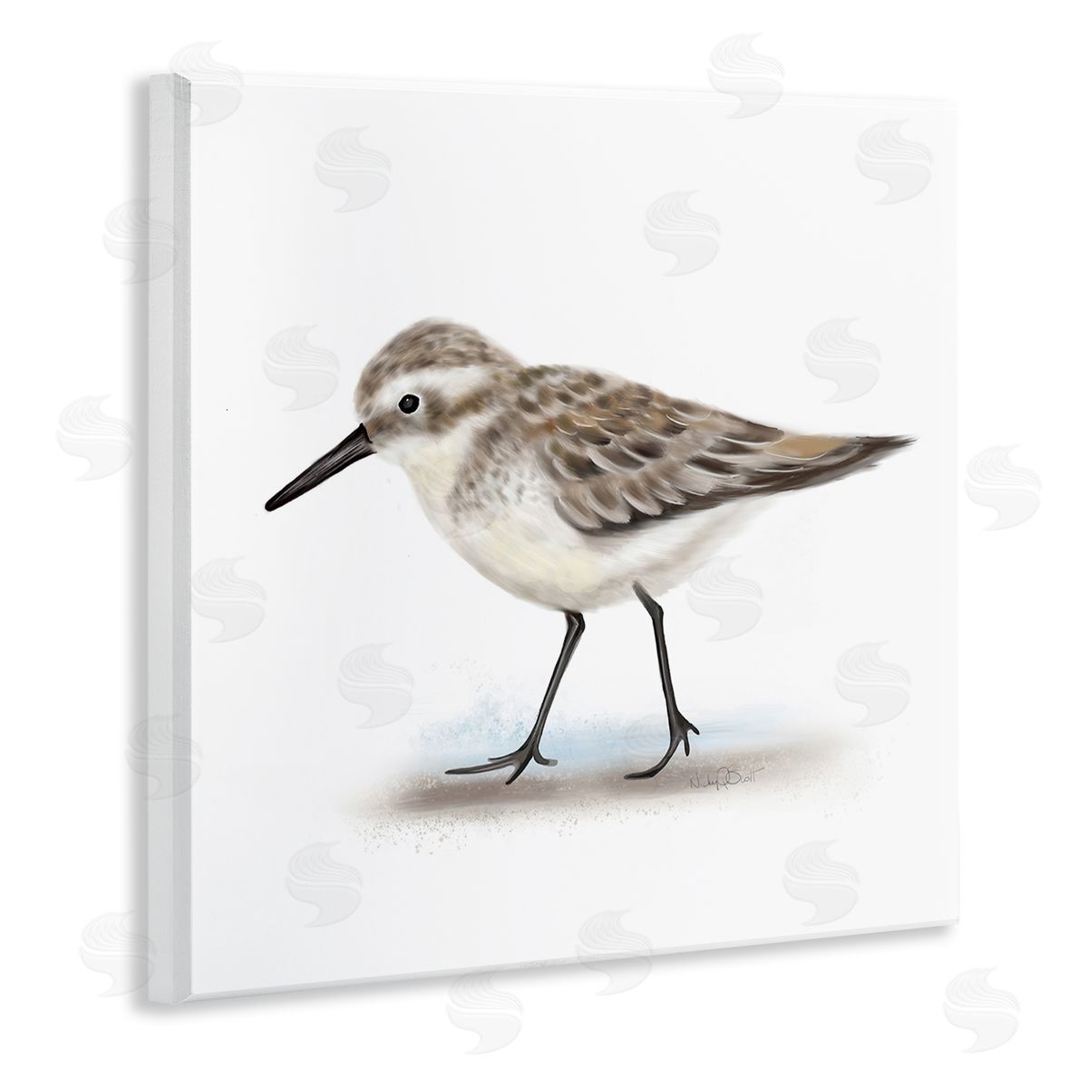 Studio Q Nautical Sandpiper Bird on Sand Speckled Feathers Wooden Wall Plaque Art Print