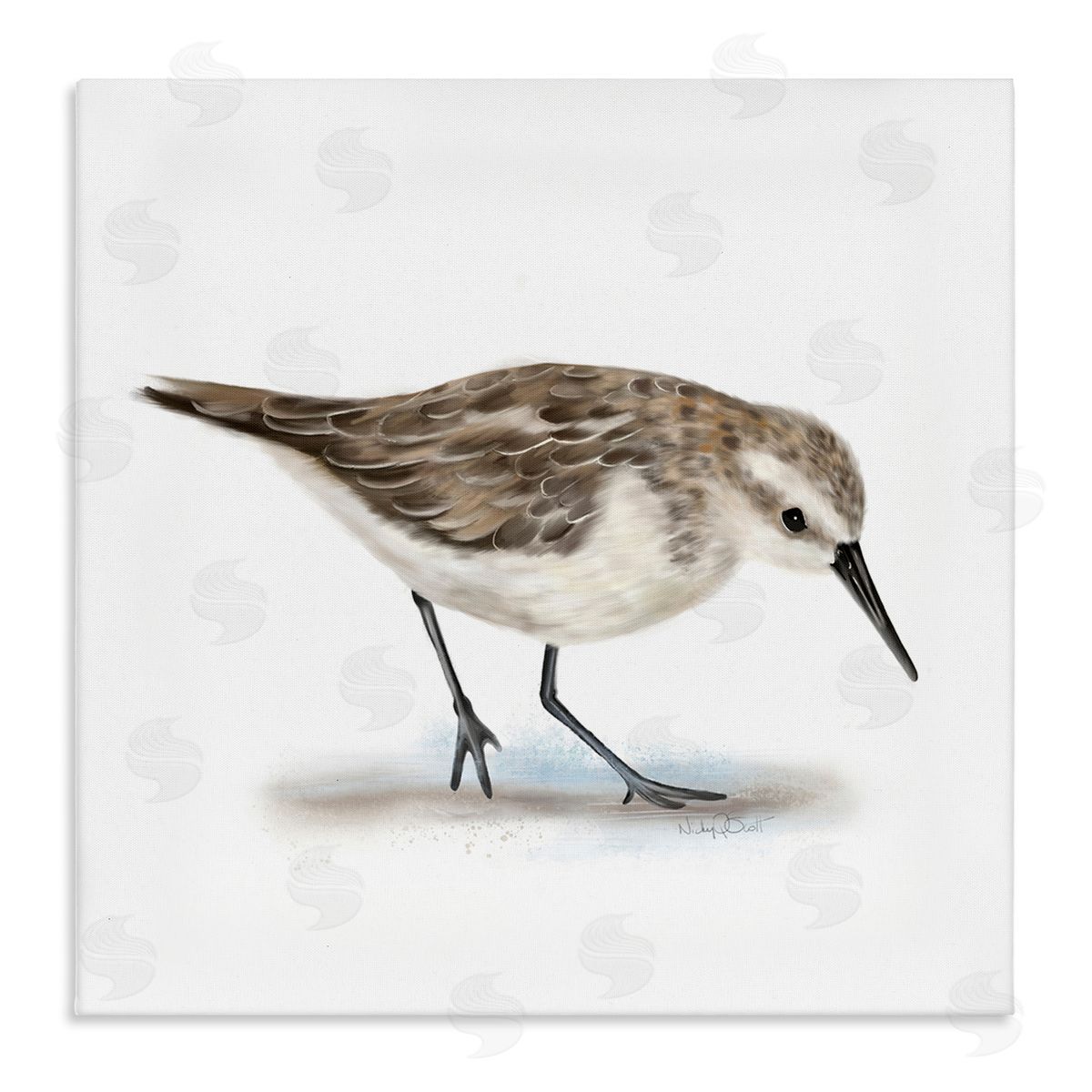 Studio Q Charming Sandpiper on Soft Sand Brown Nautical Bird Stretched Canvas Wall Art Print