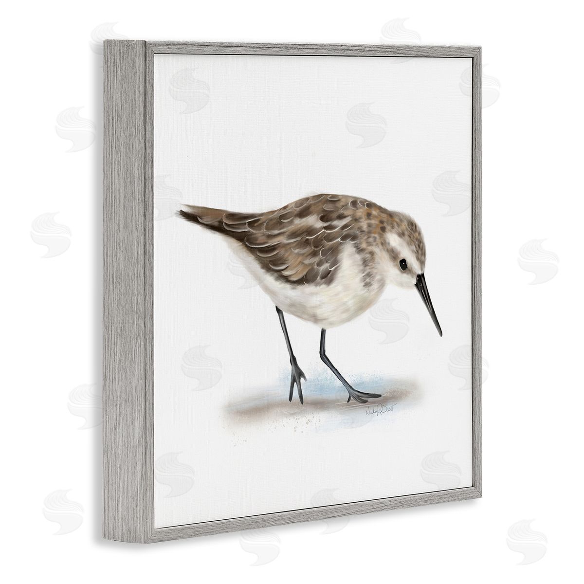 Studio Q Charming Sandpiper on Soft Sand Brown Nautical Bird Gray Framed Glicee Wall Art Print