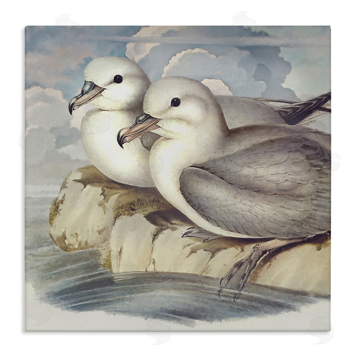 Steve Hunziker Seagull Couple Perched Coastal Water Resting Birds Stretched Canvas Wall Art Print