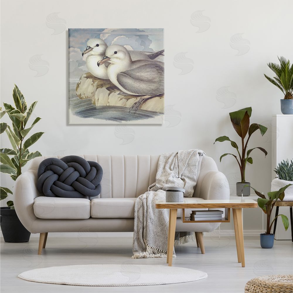 Steve Hunziker Seagull Couple Perched Coastal Water Resting Birds Canvas Wall Art in Room