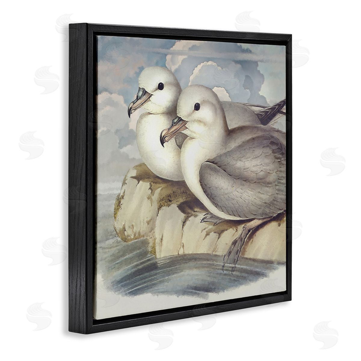 Steve Hunziker Seagull Couple Perched Coastal Water Resting Birds Black Floating Frame Canvas Wall Art Print