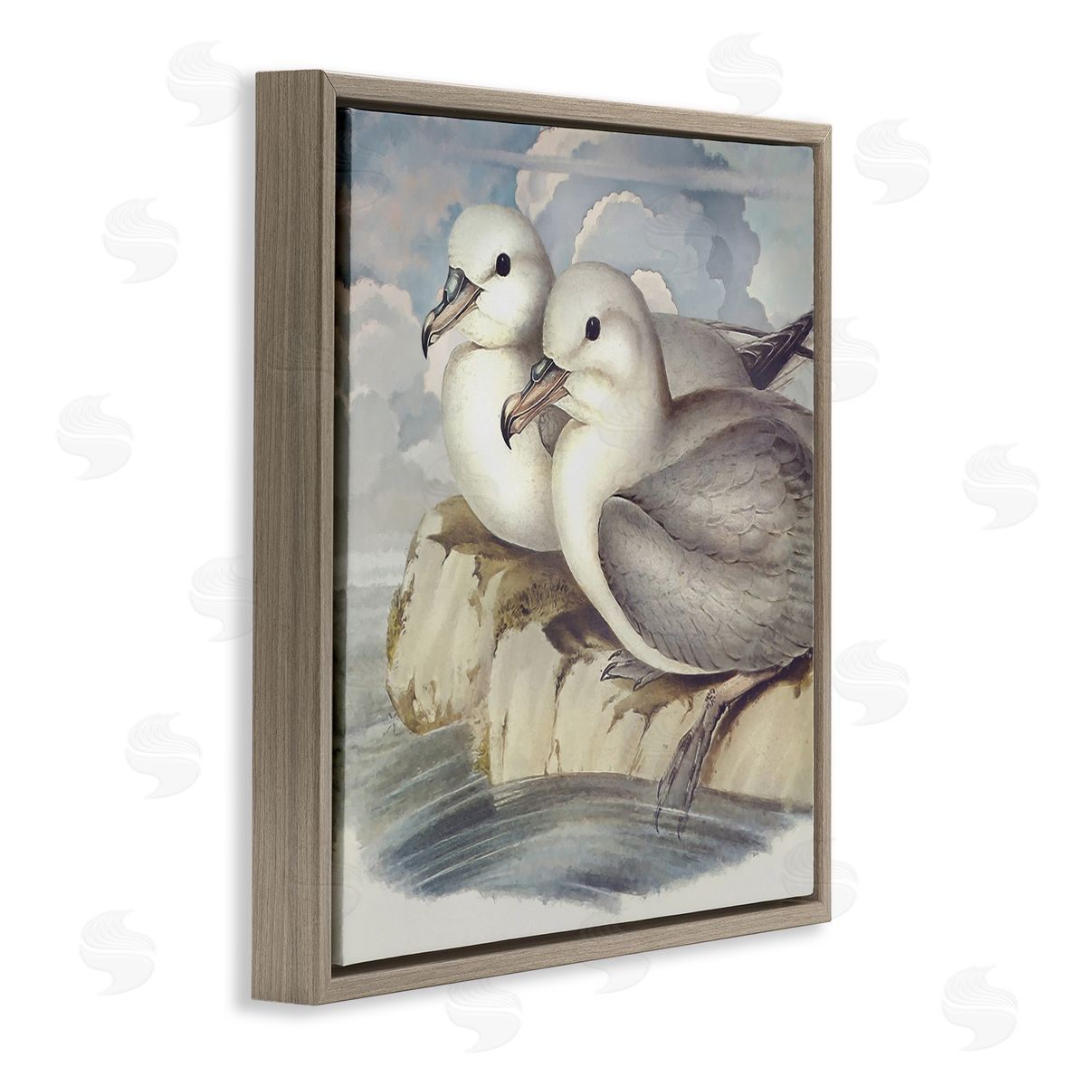 Steve Hunziker Seagull Couple Perched Coastal Water Resting Birds Brown Floating Frame Canvas Wall Art Print