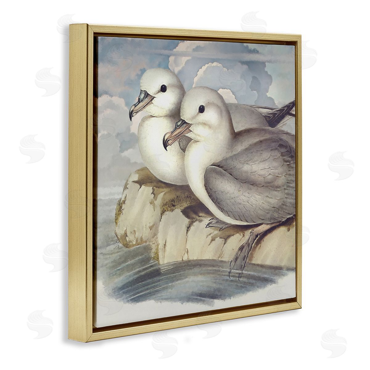 Steve Hunziker Seagull Couple Perched Coastal Water Resting Birds Gold Floating Frame Canvas Wall Art Print
