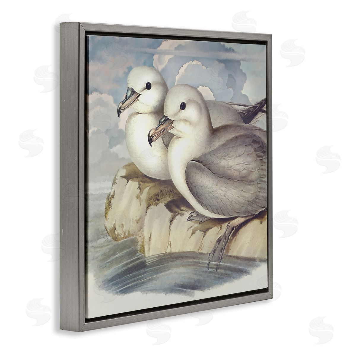 Steve Hunziker Seagull Couple Perched Coastal Water Resting Birds Gray Floating Frame Canvas Wall Art Print