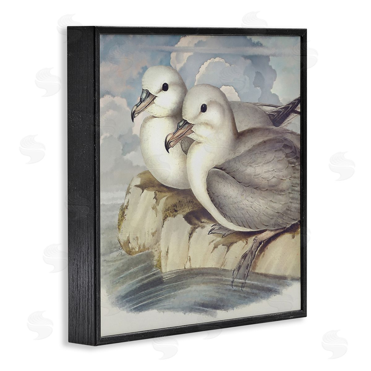 Steve Hunziker Seagull Couple Perched Coastal Water Resting Birds Black Framed Glicee Wall Art Print