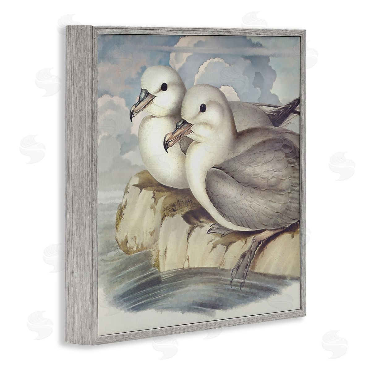Steve Hunziker Seagull Couple Perched Coastal Water Resting Birds Gray Framed Glicee Wall Art Print
