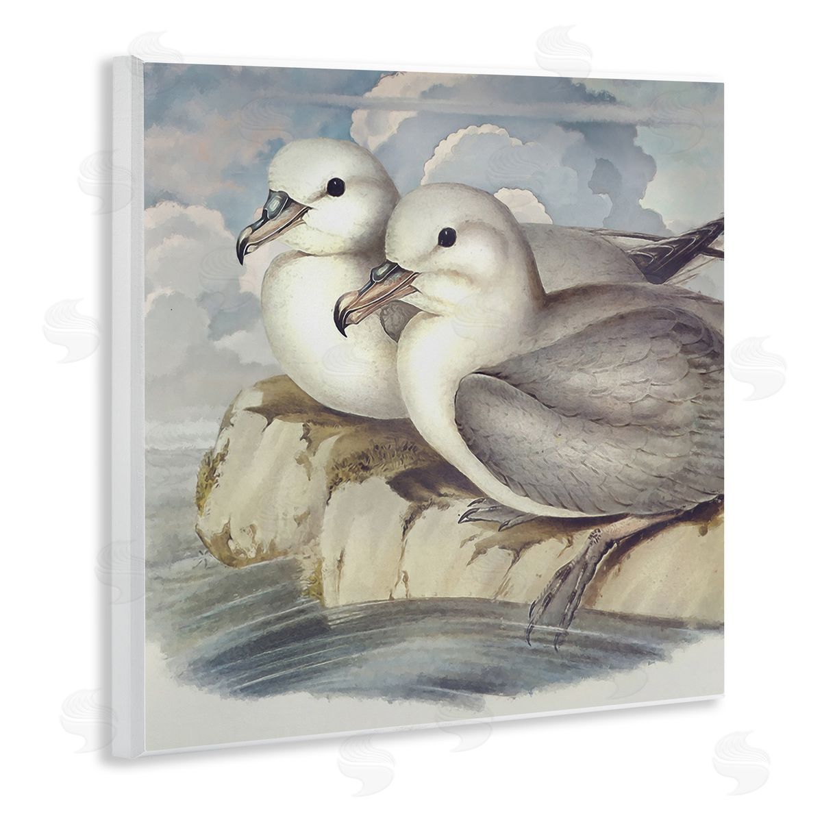 Steve Hunziker Seagull Couple Perched Coastal Water Resting Birds Wooden Wall Plaque Art Print