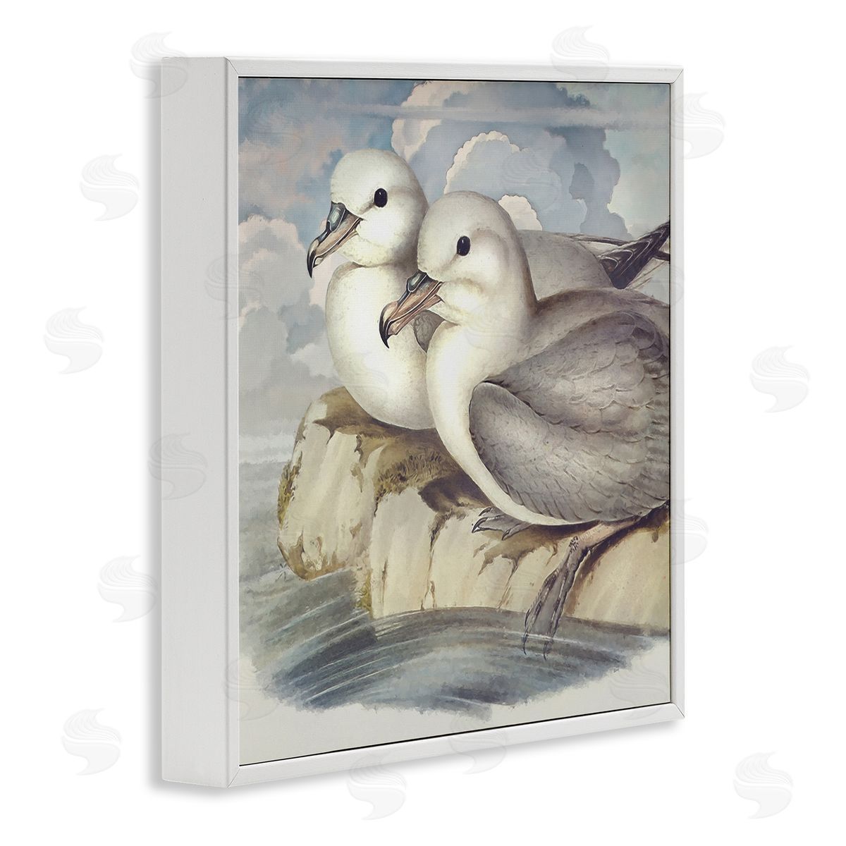 Steve Hunziker Seagull Couple Perched Coastal Water Resting Birds White Framed Glicee Wall Art Print