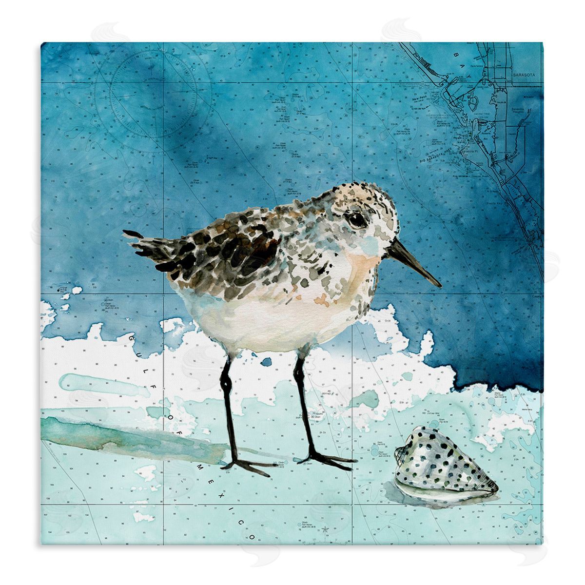 Carol Robinson Sandpiper Bird and Shell Nautical Ocean Map Stretched Canvas Wall Art Print