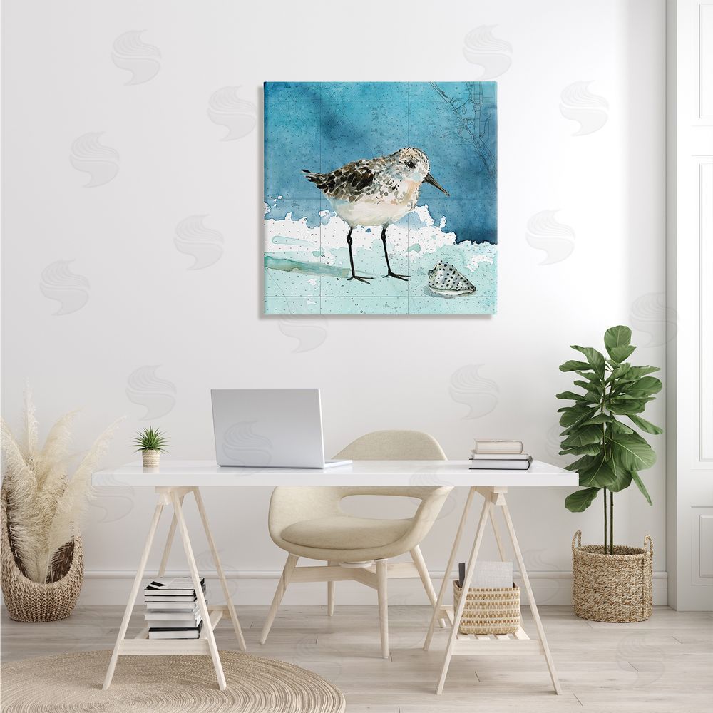 Carol Robinson Sandpiper Bird and Shell Nautical Ocean Map Canvas Wall Art in Room