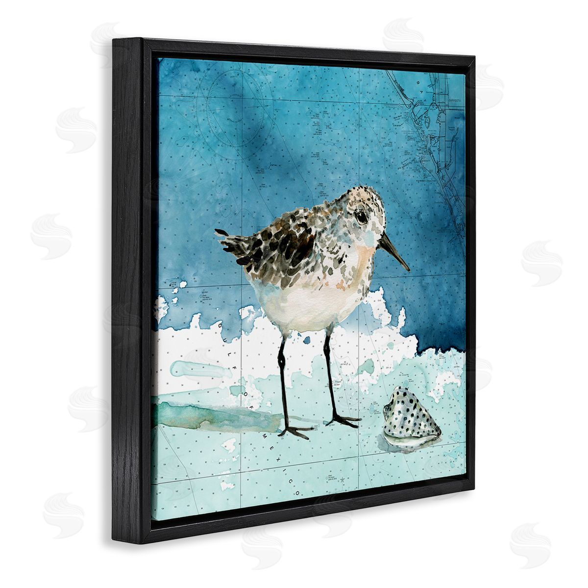 Carol Robinson Sandpiper Bird and Shell Nautical Ocean Map Black Floating Frame Canvas Wall Art Print