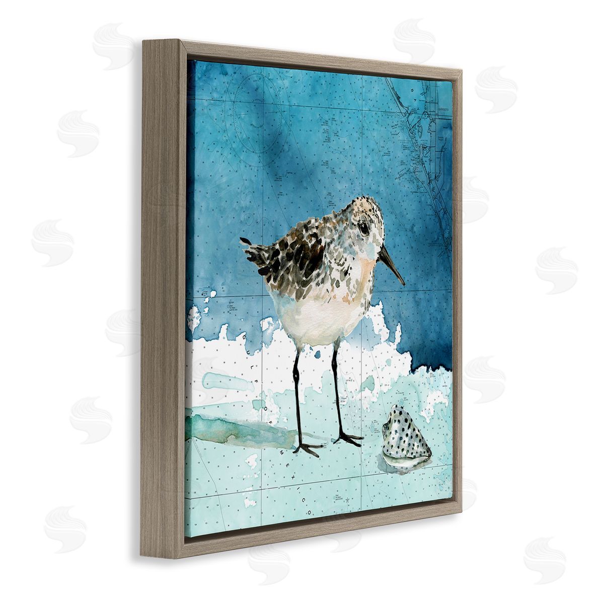 Carol Robinson Sandpiper Bird and Shell Nautical Ocean Map Brown Floating Frame Canvas Wall Art Print