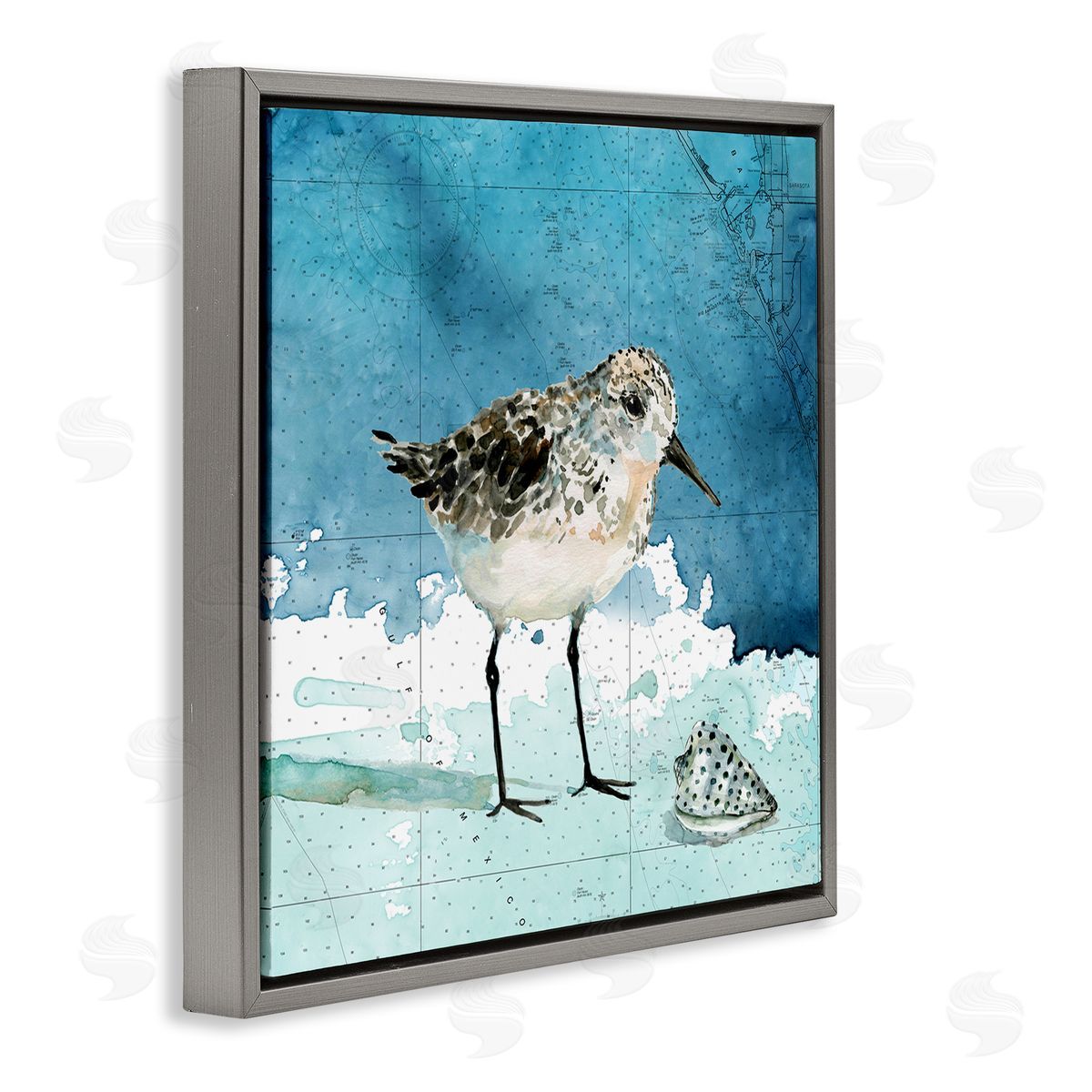 Carol Robinson Sandpiper Bird and Shell Nautical Ocean Map Gray Floating Frame Canvas Wall Art Print