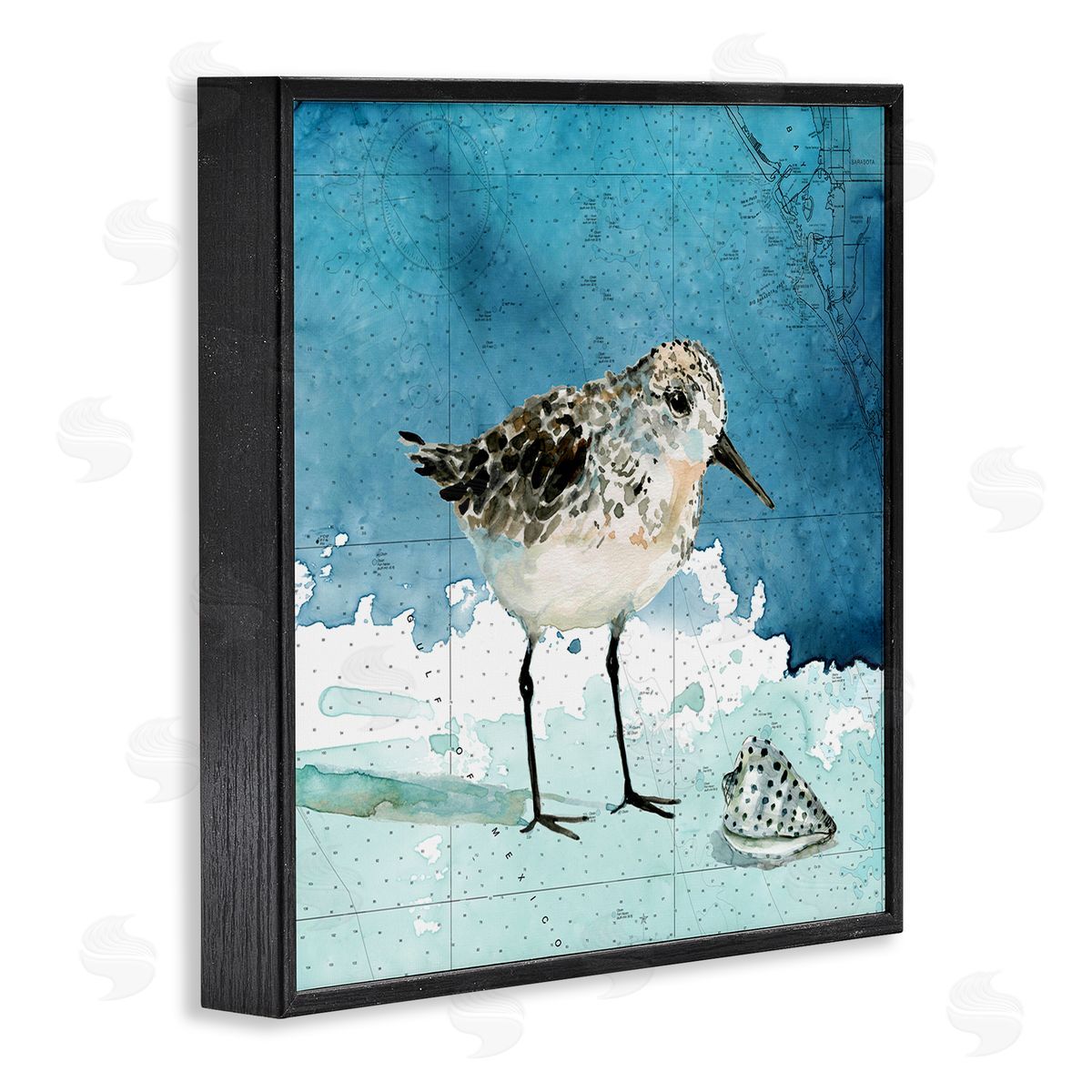 Carol Robinson Sandpiper Bird and Shell Nautical Ocean Map Black Framed Glicee Wall Art Print