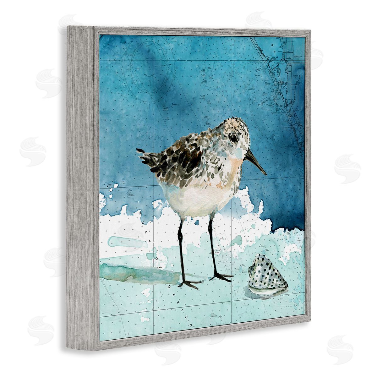 Carol Robinson Sandpiper Bird and Shell Nautical Ocean Map Gray Framed Glicee Wall Art Print