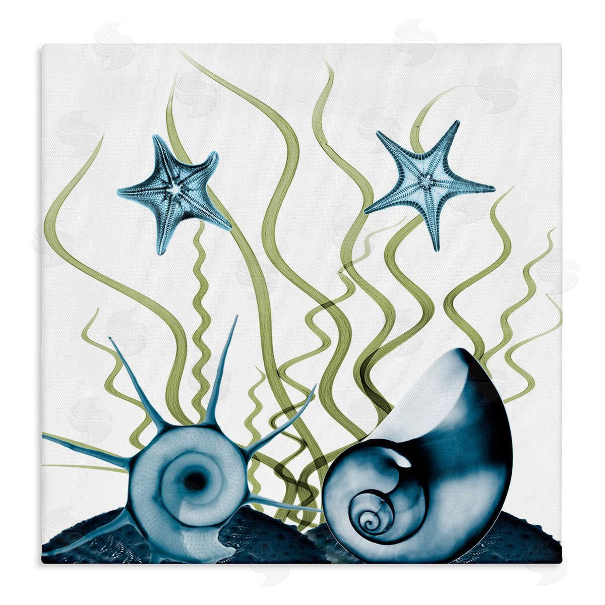 Albert Koetsier Navy Blue Sea Floor Arrangement Translucent Shell Collage Stretched Canvas Wall Art Print