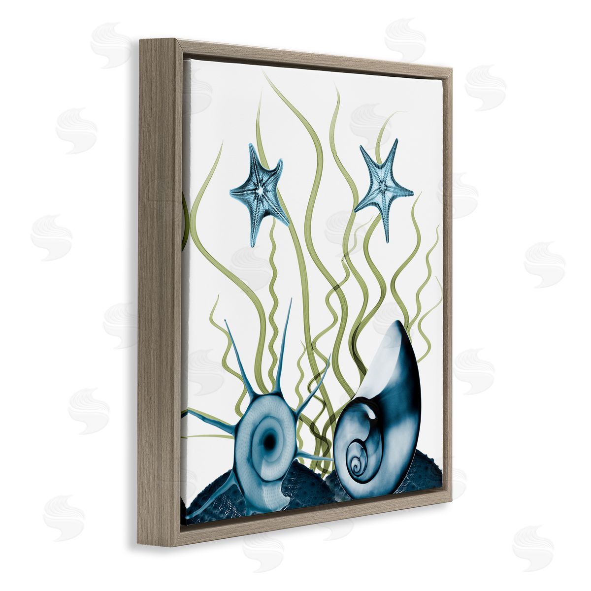 Albert Koetsier Navy Blue Sea Floor Arrangement Translucent Shell Collage Brown Floating Frame Canvas Wall Art Print