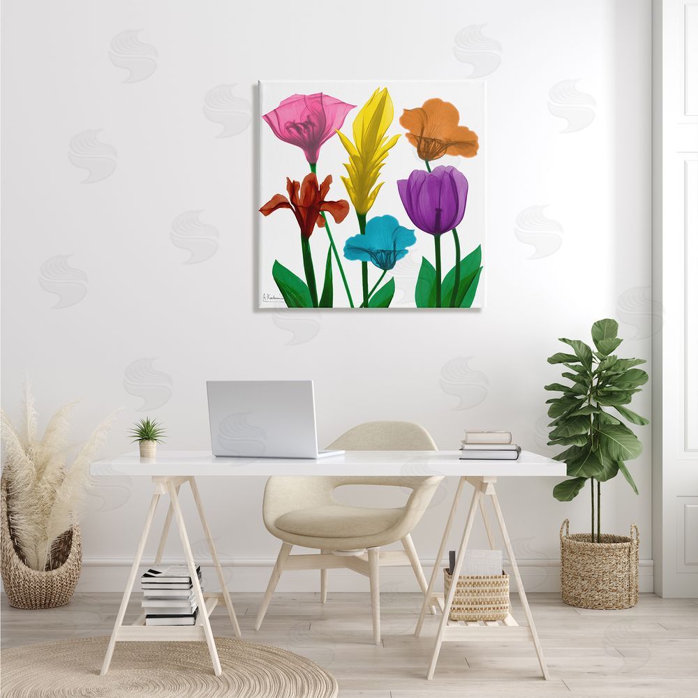 Albert Koetsier Bold Rainbow Spring Flowers Translucent Floral Photography Canvas Wall Art in Room