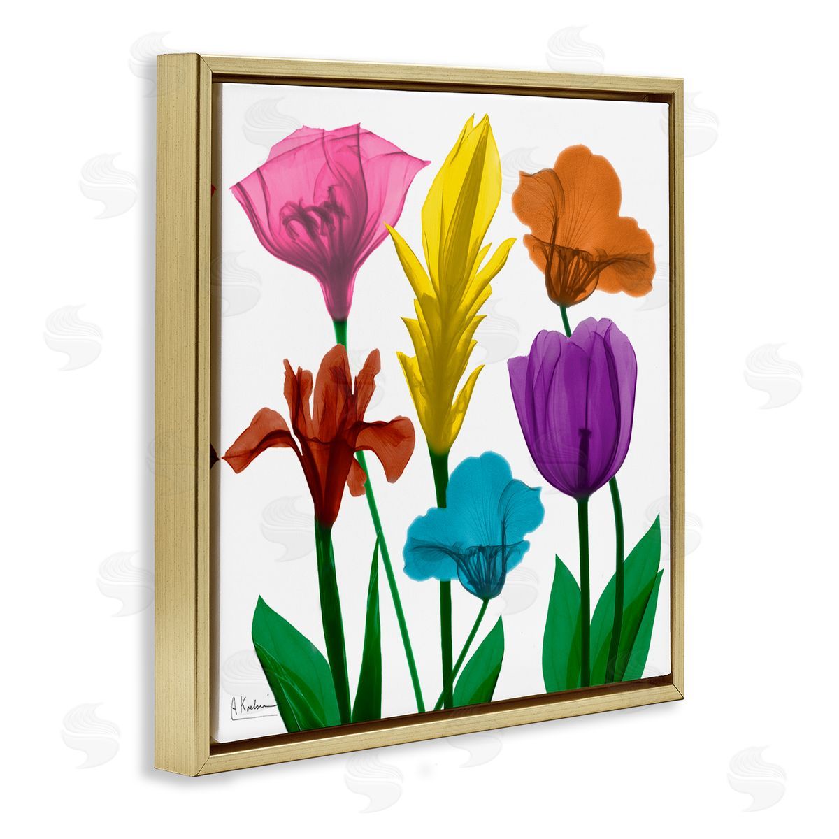 Albert Koetsier Bold Rainbow Spring Flowers Translucent Floral Photography Gold Floating Frame Canvas Wall Art Print