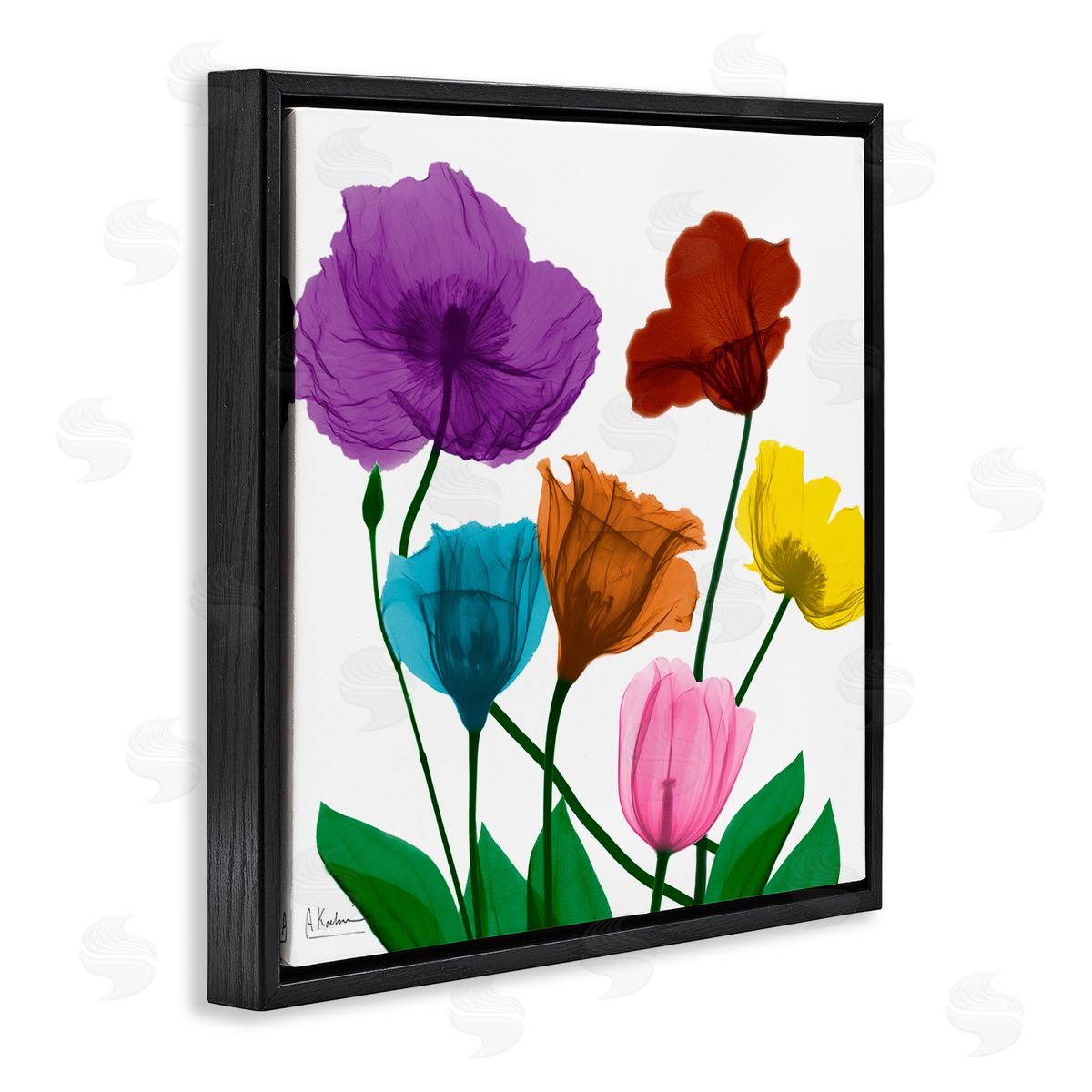 Albert Koetsier Bold Summer Blooming Florals Translucent Rainbow Flowers Black Floating Frame Canvas Wall Art Print