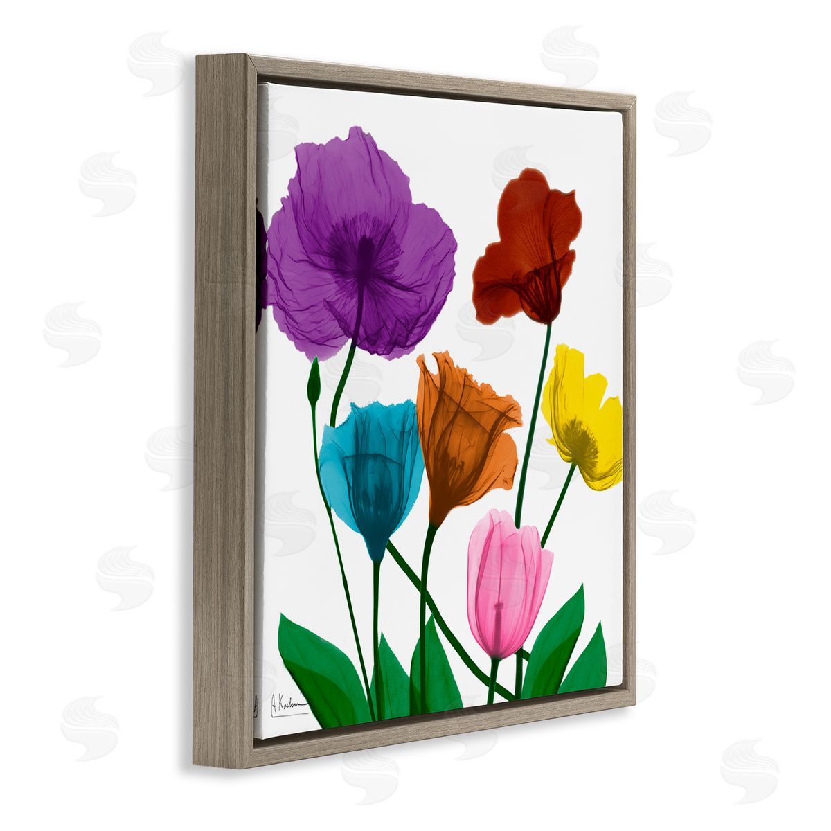 Albert Koetsier Bold Summer Blooming Florals Translucent Rainbow Flowers Brown Floating Frame Canvas Wall Art Print