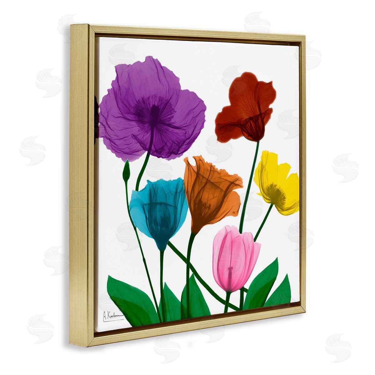 Albert Koetsier Bold Summer Blooming Florals Translucent Rainbow Flowers Gold Floating Frame Canvas Wall Art Print