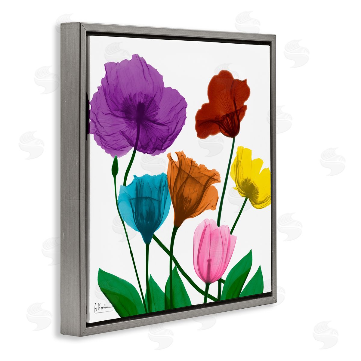 Albert Koetsier Bold Summer Blooming Florals Translucent Rainbow Flowers Gray Floating Frame Canvas Wall Art Print