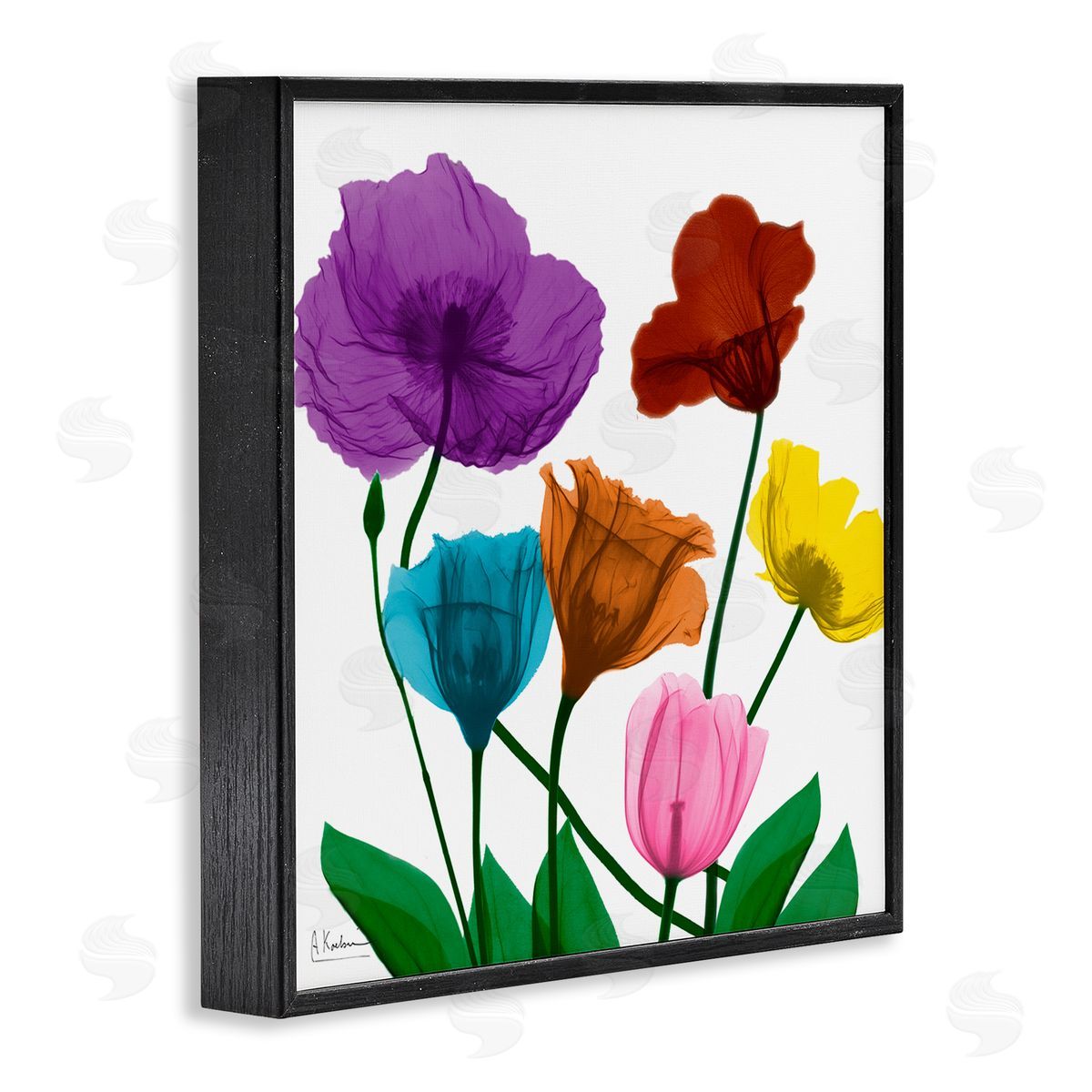 Albert Koetsier Bold Summer Blooming Florals Translucent Rainbow Flowers Black Framed Glicee Wall Art Print
