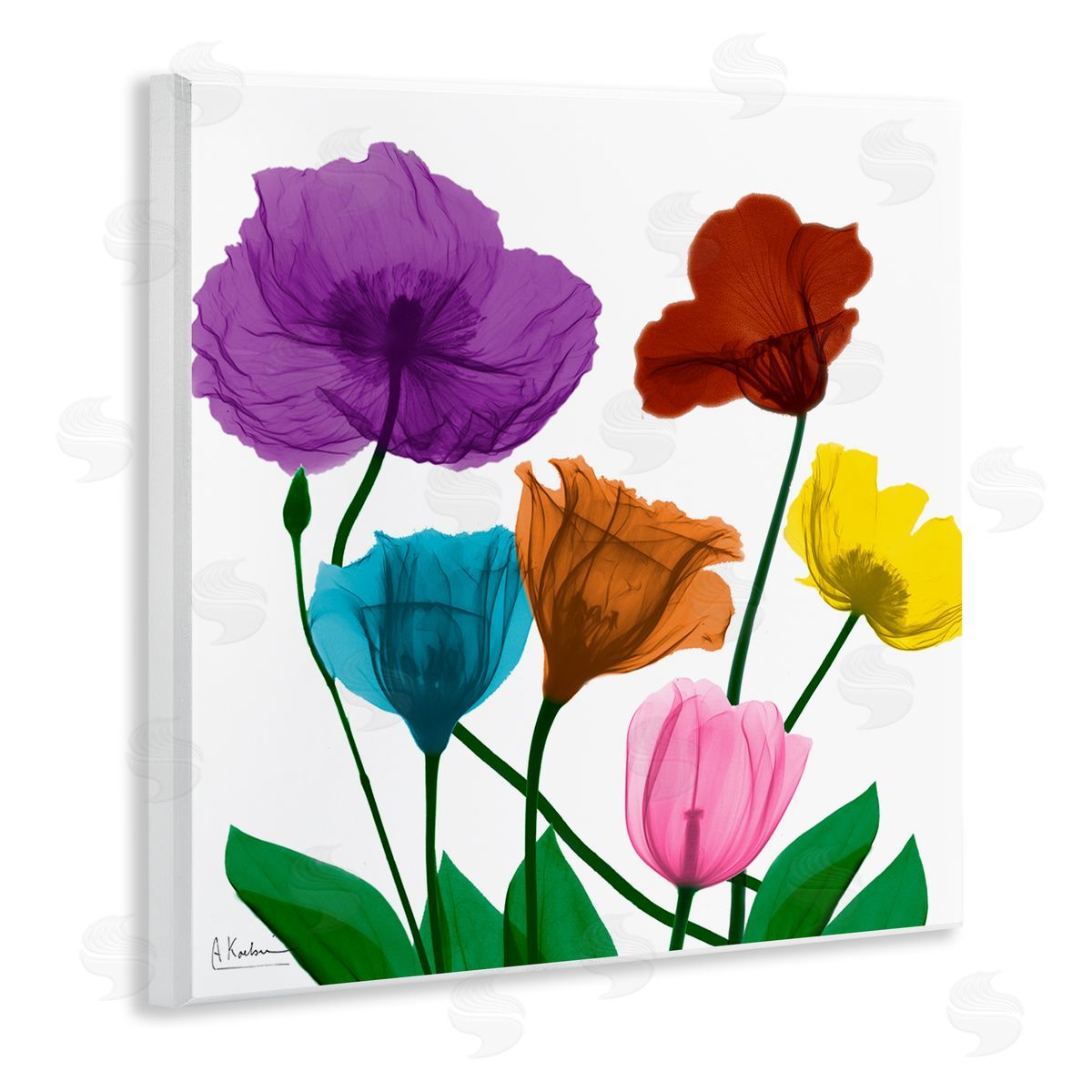 Albert Koetsier Bold Summer Blooming Florals Translucent Rainbow Flowers Wooden Wall Plaque Art Print
