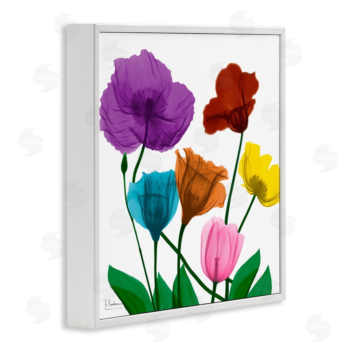 Albert Koetsier Bold Summer Blooming Florals Translucent Rainbow Flowers White Framed Glicee Wall Art Print