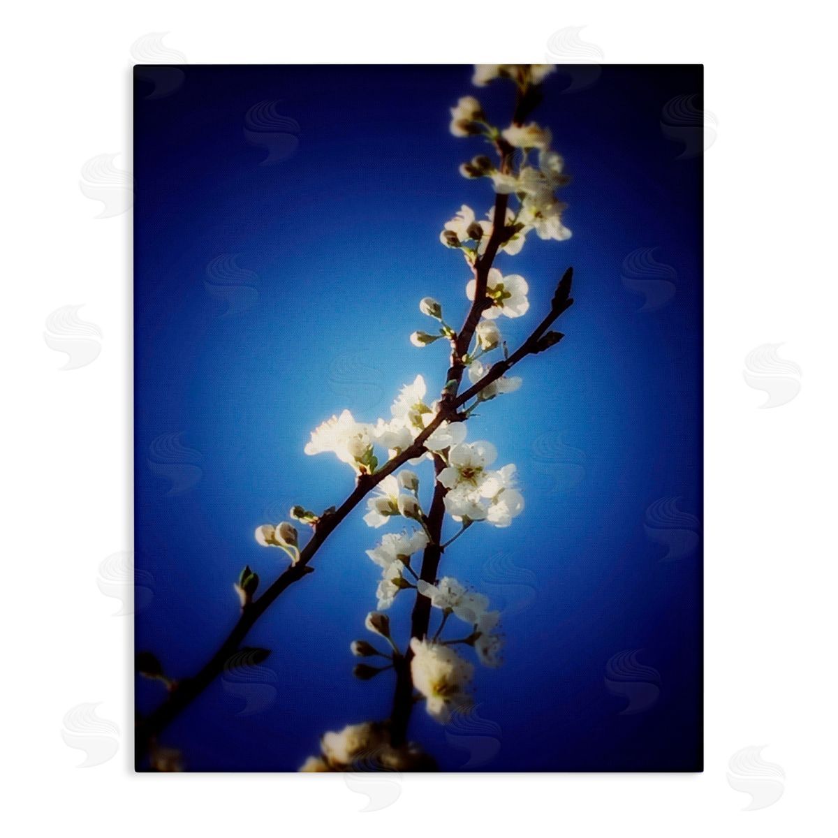Bellassai Art White Tree Blossom Florals Canvas Wall Art Print