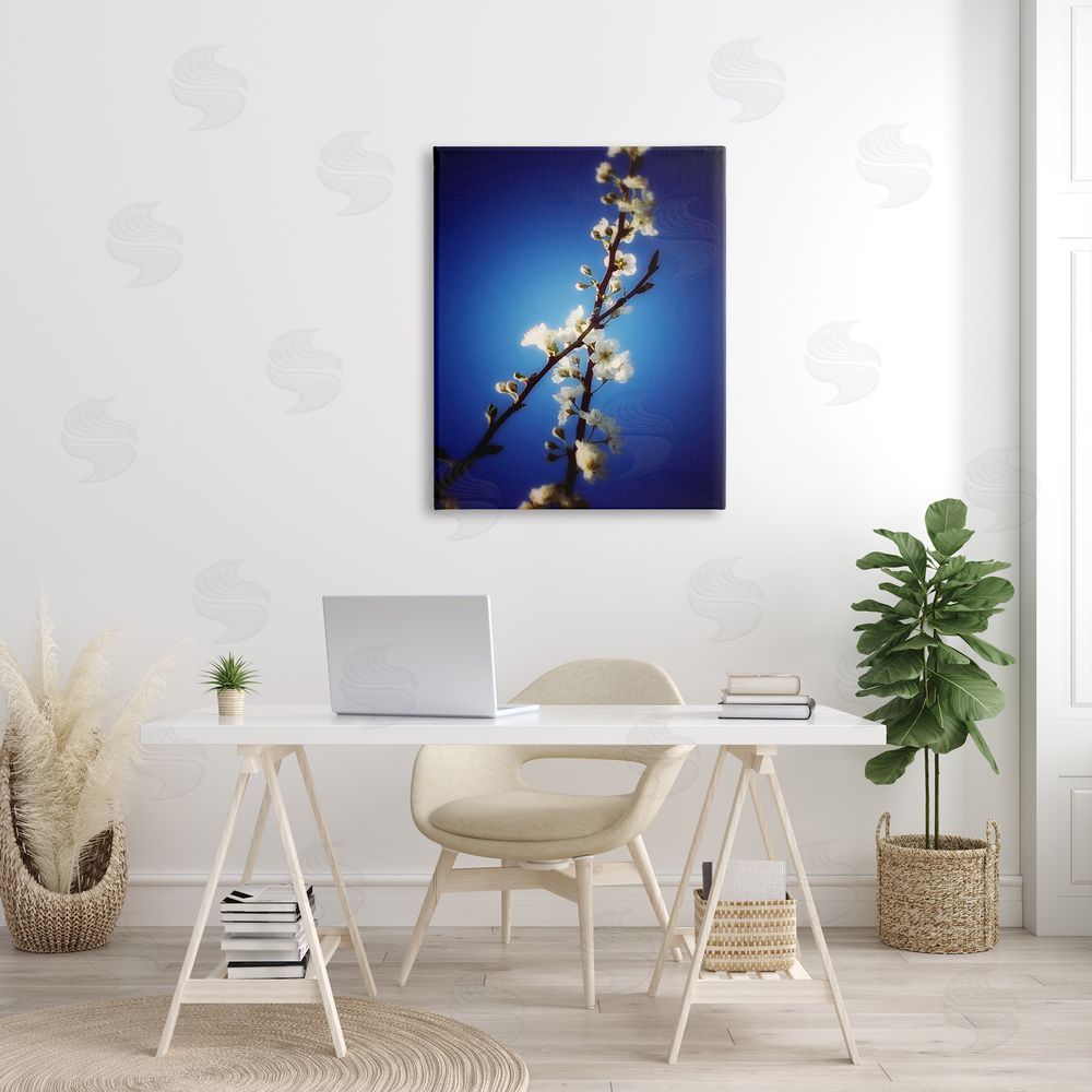 Bellassai Art White Tree Blossom Florals Canvas on Wall