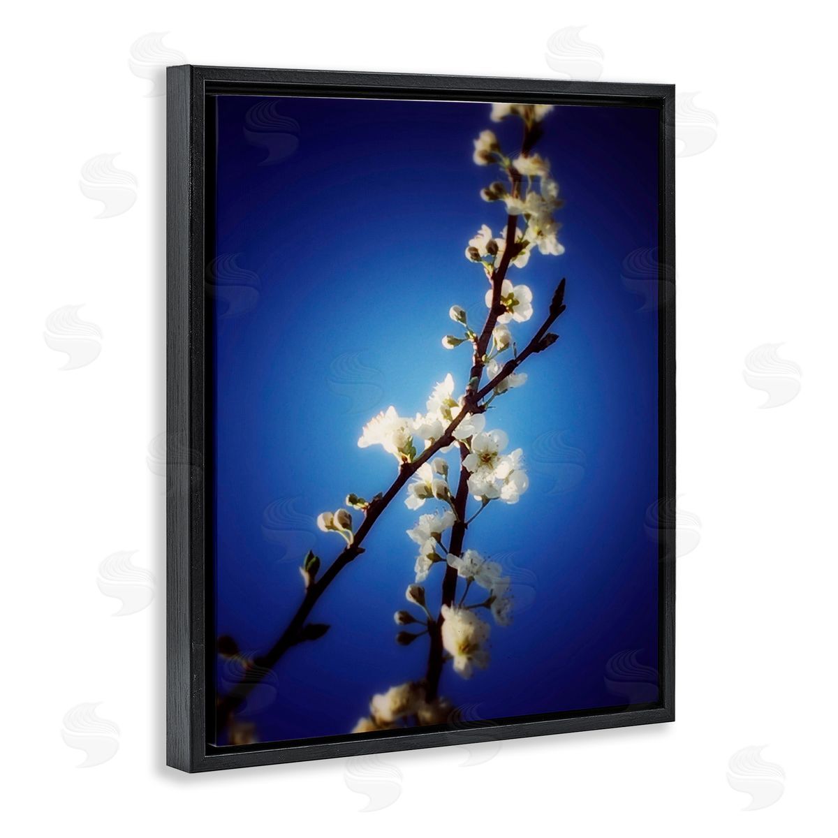 Bellassai Art White Tree Blossom Florals Black Floating Frame Canvas Wall Art Print