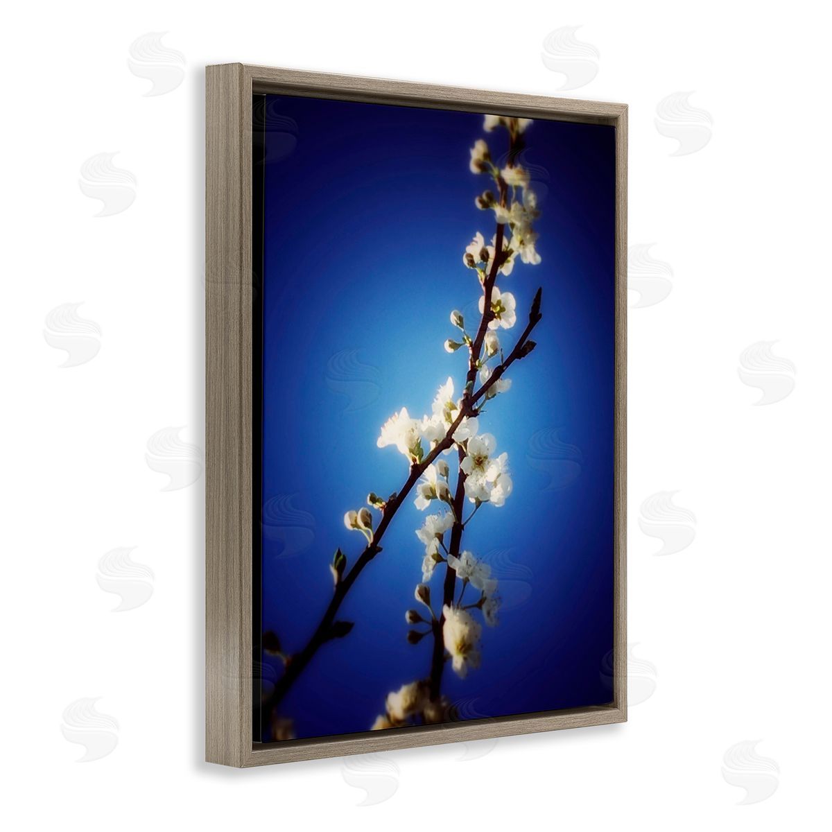 Bellassai Art White Tree Blossom Florals Brown Floating Frame Canvas Wall Art Print