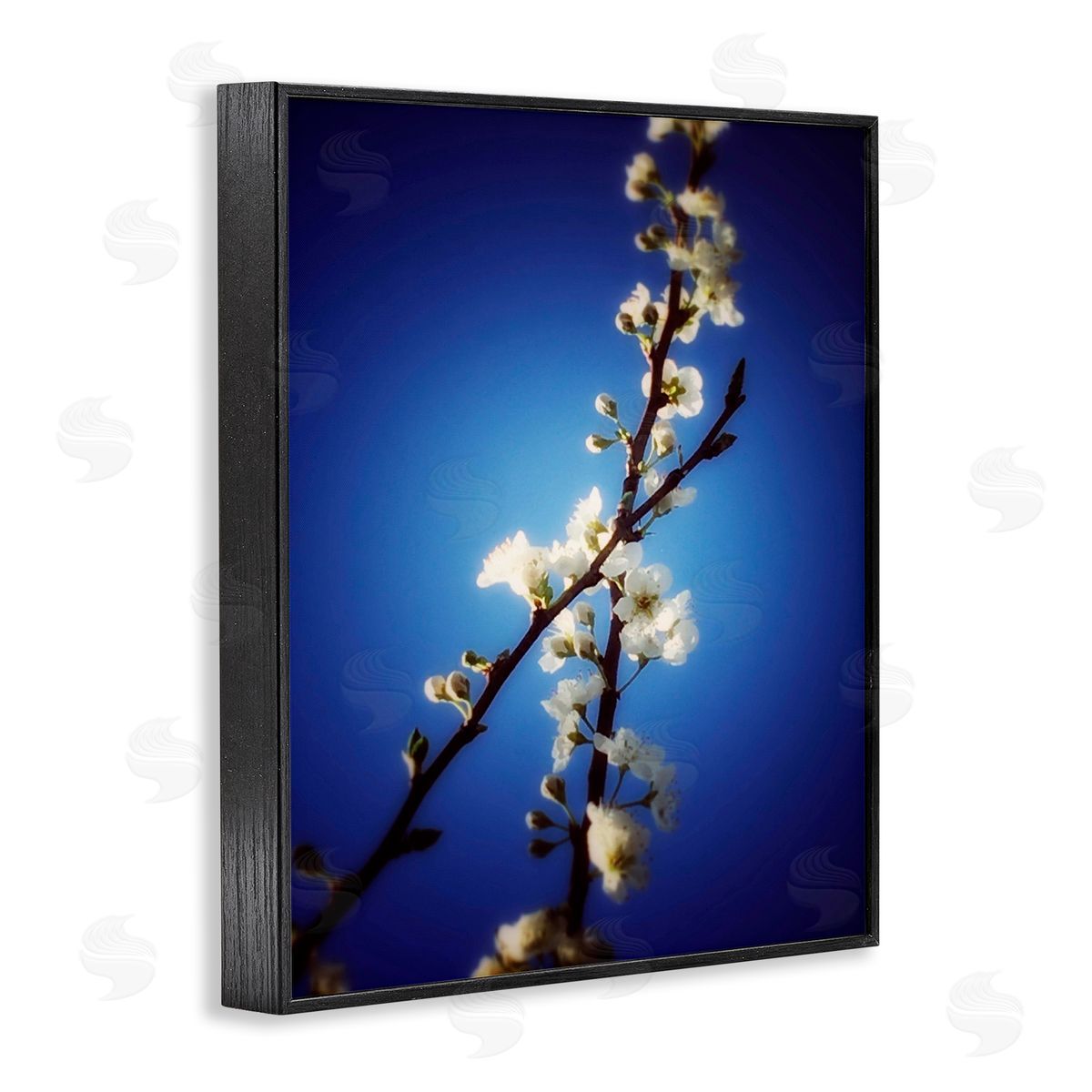 Bellassai Art White Tree Blossom Florals Black Frame Giclee Wall Art Print