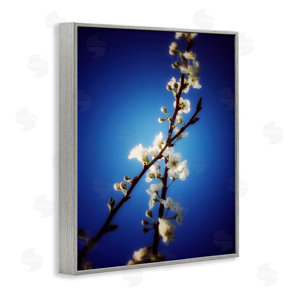 Bellassai Art White Tree Blossom Florals Gray Frame Giclee Wall Art Print