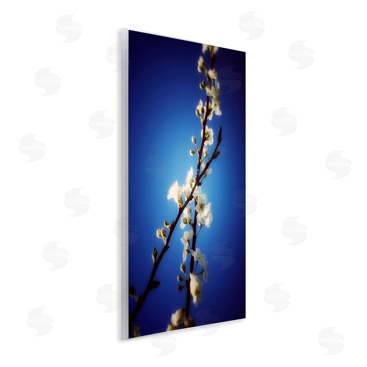 Bellassai Art White Tree Blossom Florals Wall Plaque Wall Art Print