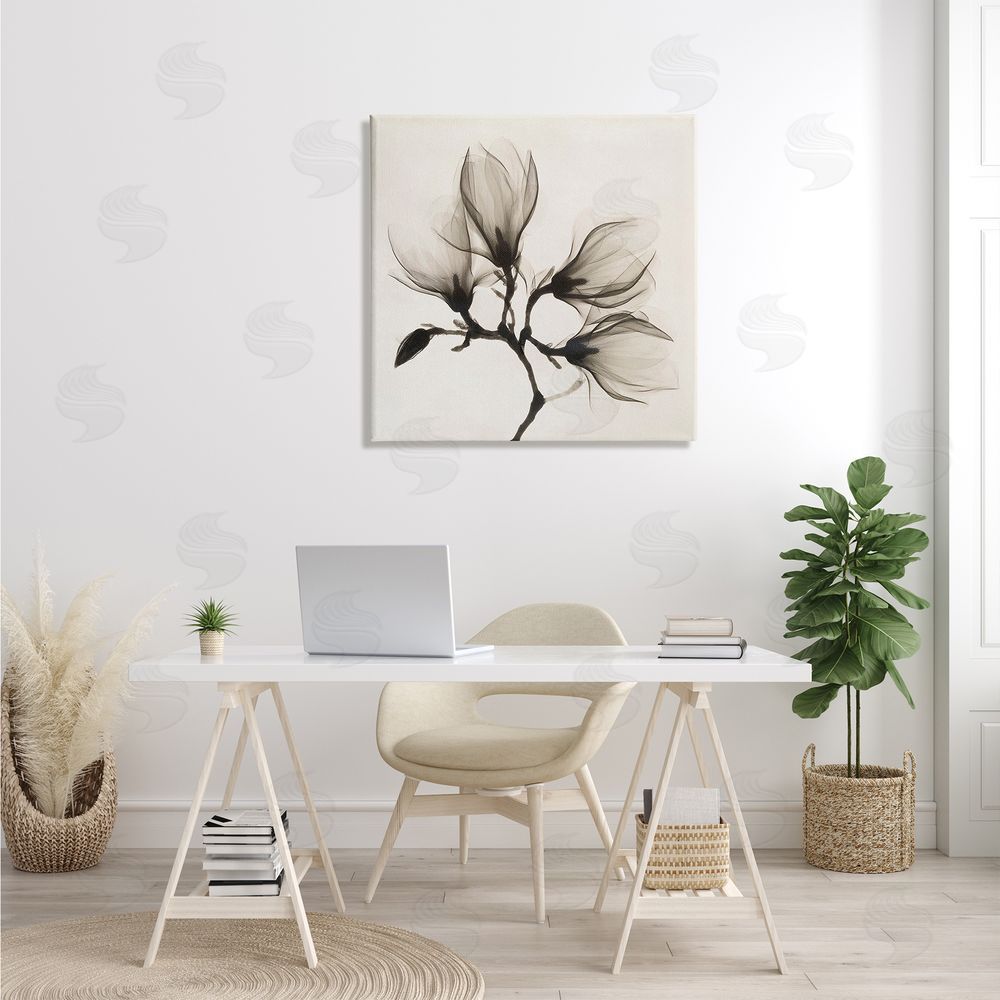 Image Conscious Sepia Tone Tree Blossom Florals Translucent Flowers Canvas Wall Art in Room