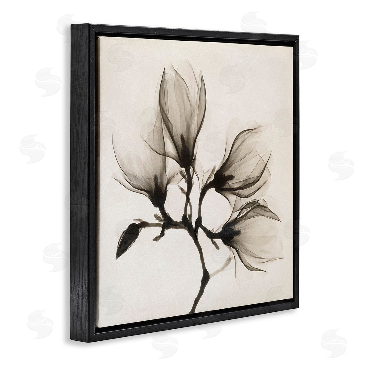 Image Conscious Sepia Tone Tree Blossom Florals Translucent Flowers Black Floating Frame Canvas Wall Art Print