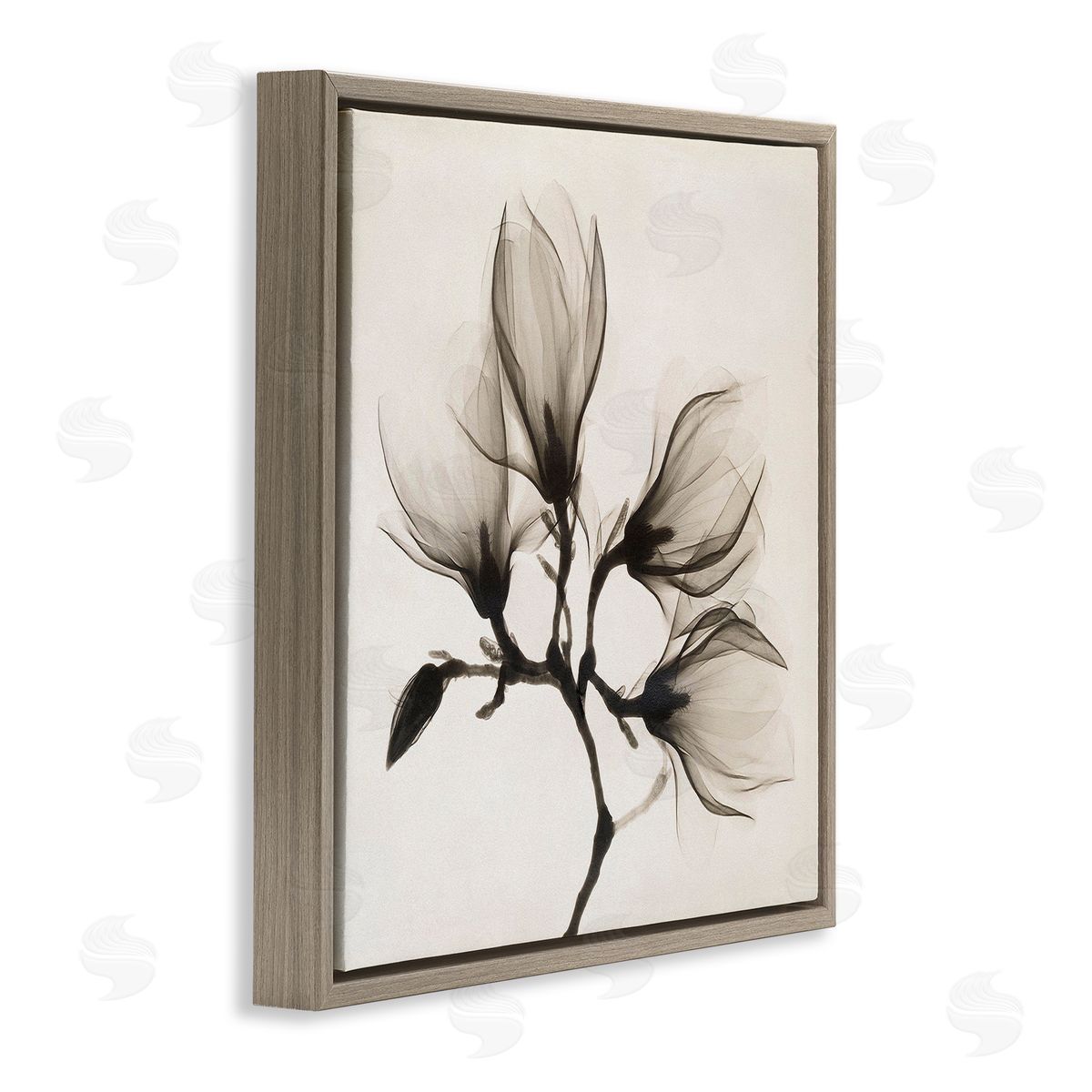 Image Conscious Sepia Tone Tree Blossom Florals Translucent Flowers Brown Floating Frame Canvas Wall Art Print