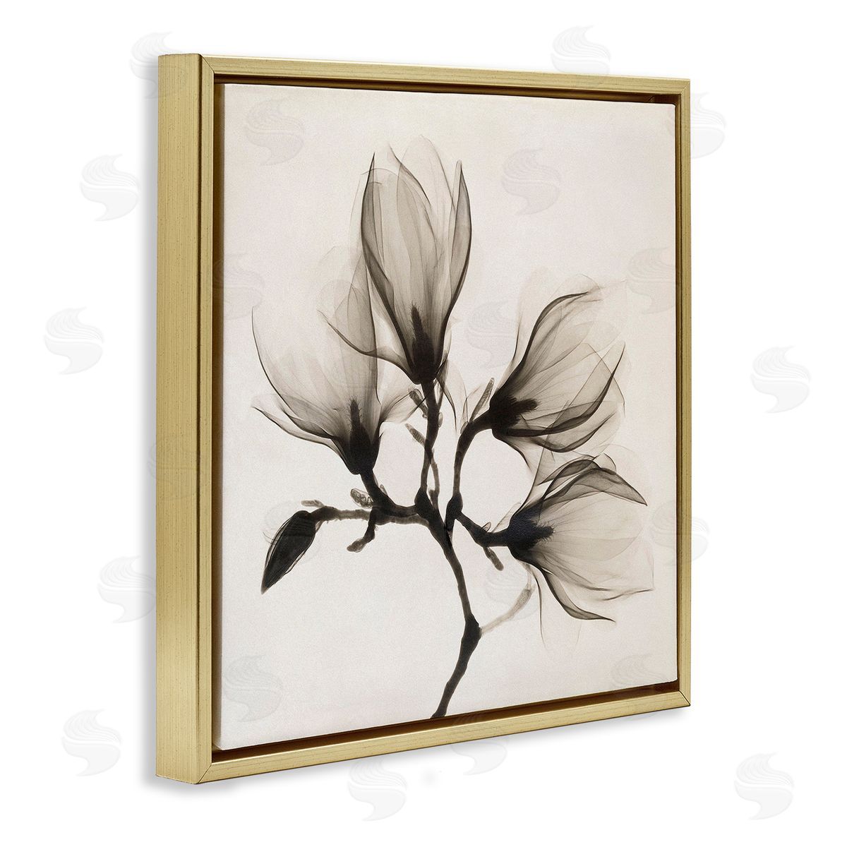 Image Conscious Sepia Tone Tree Blossom Florals Translucent Flowers Gold Floating Frame Canvas Wall Art Print