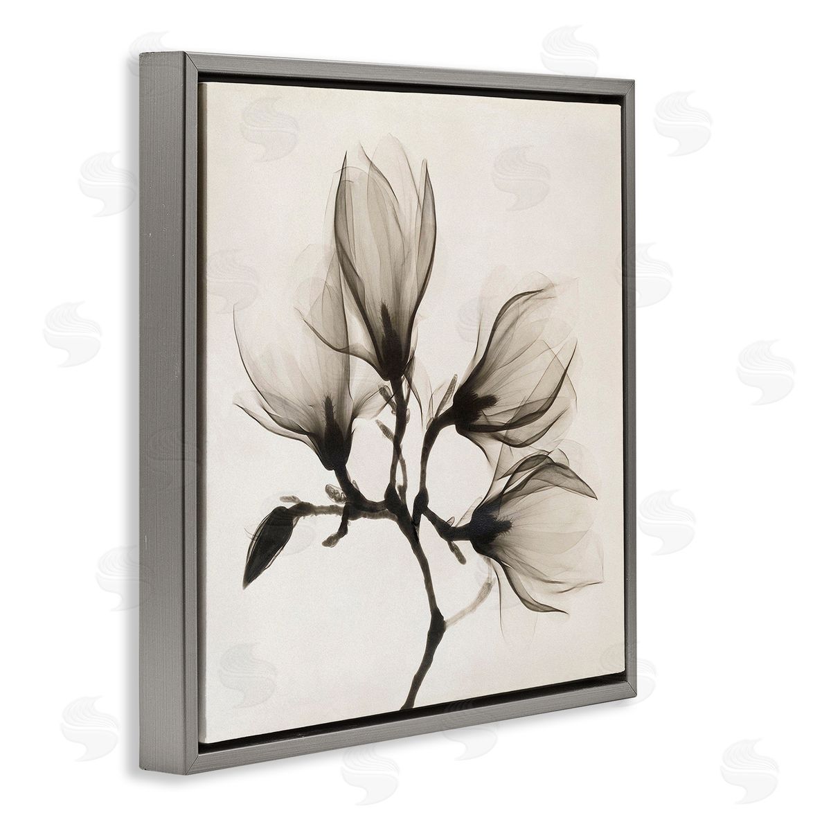 Image Conscious Sepia Tone Tree Blossom Florals Translucent Flowers Gray Floating Frame Canvas Wall Art Print