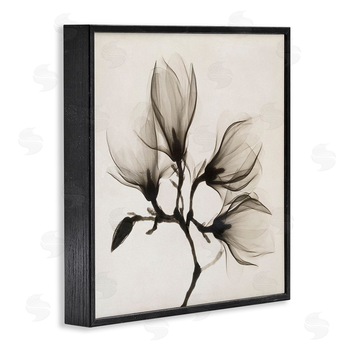 Image Conscious Sepia Tone Tree Blossom Florals Translucent Flowers Black Framed Glicee Wall Art Print