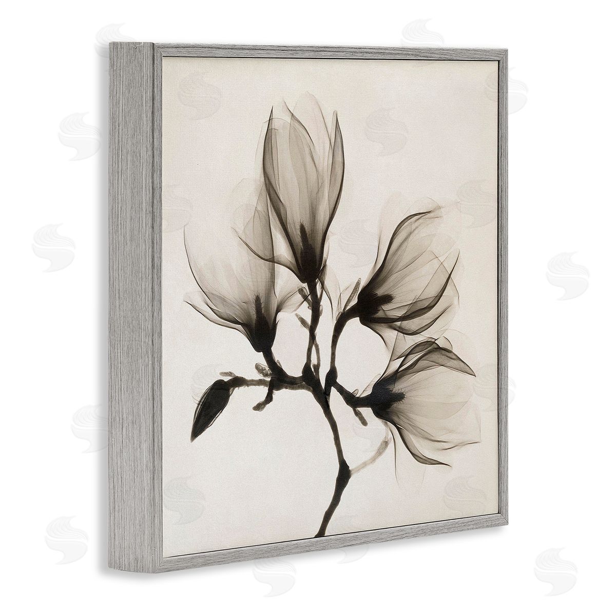 Image Conscious Sepia Tone Tree Blossom Florals Translucent Flowers Gray Framed Glicee Wall Art Print