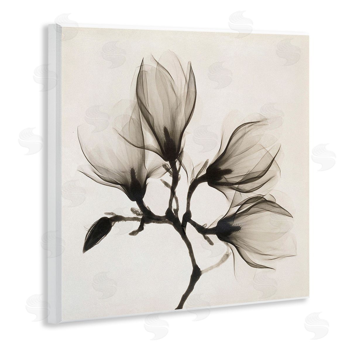 Image Conscious Sepia Tone Tree Blossom Florals Translucent Flowers Wooden Wall Plaque Art Print