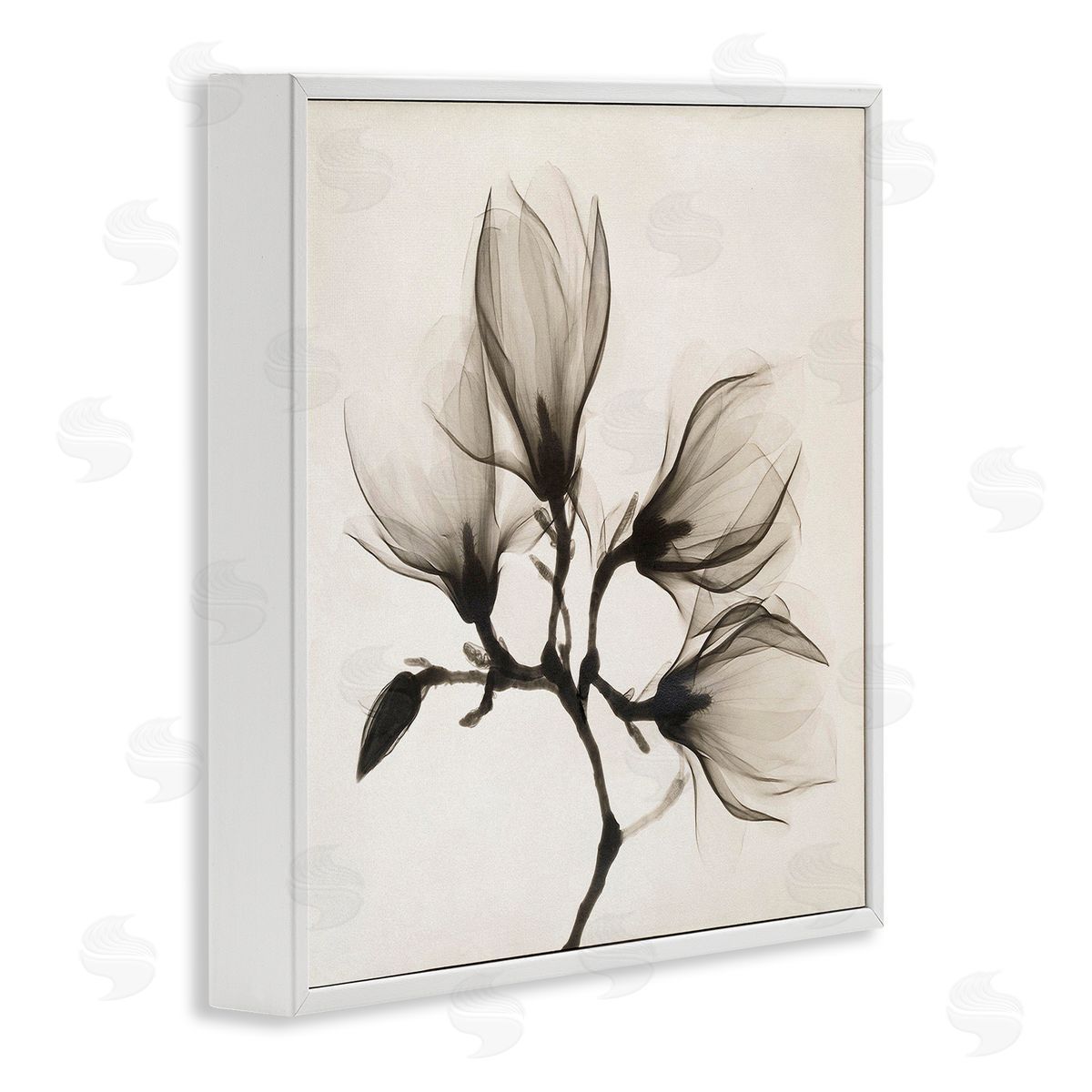Image Conscious Sepia Tone Tree Blossom Florals Translucent Flowers White Framed Glicee Wall Art Print